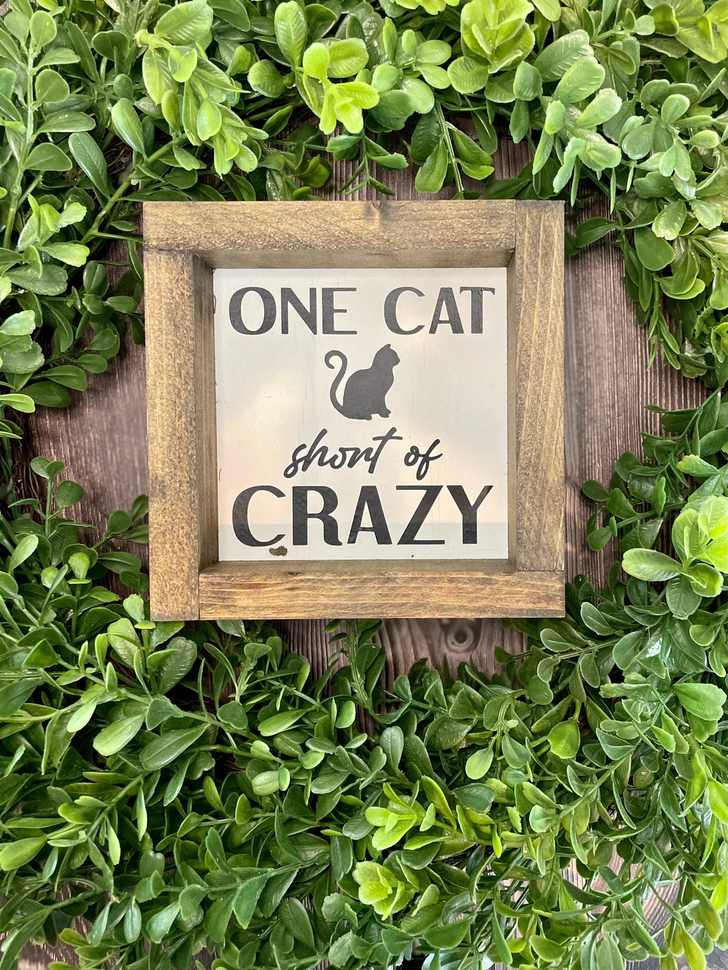 6x6 Cat Crazy Wooden Sign